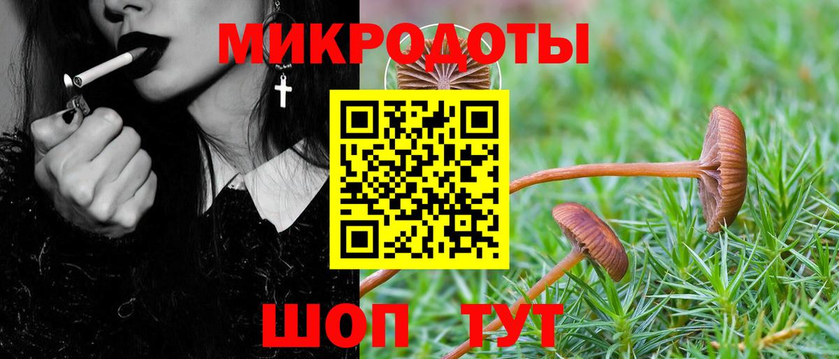 Псилоцибиновые грибы прущие грибы  Вход с VPN  Славгород 
