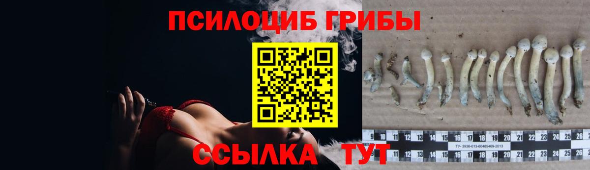 Псилоцибиновые грибы GOLDEN TEACHER Славгород